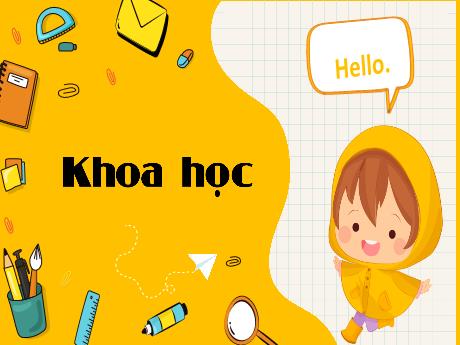 Bài giảng Khoa học Lớp 4 (Kết nối tri thức) - Bài 9: Vai trò của ánh sáng (Tiết 2) - Năm học 2023-2024