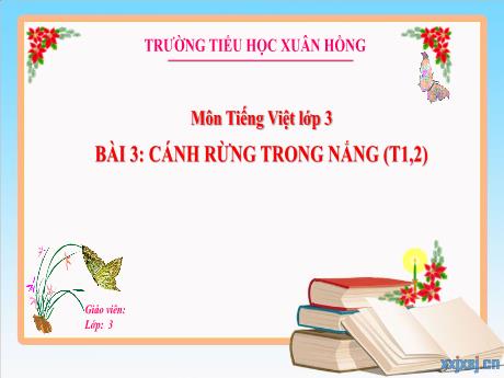 Bài giảng Tiếng Việt Lớp 3 Sách Kết nối tri thức - Bài: Cánh rừng trong nắng (Tiết 1+2) - Năm học 2024-2025 - Trường Tiểu học Xuân Hồng