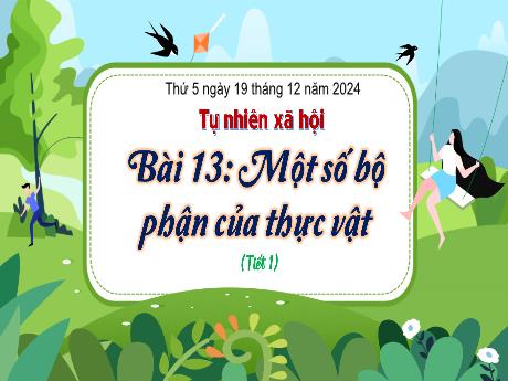 Bài giảng Tự nhiên và xã hội Lớp 3 (Kết nối tri thứ) - Bài 13: Một số bộ phận của thực vật (Tiết 1) - Năm học 2024-2025 - Bạch Thị Hải Yến