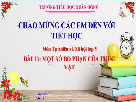 Bài giảng Tự nhiên và xã hội Lớp 3 (Kết nối tri thức) - Bài 13: Một số bộ phận của thực vật - Năm học 2024-2025 - Trường Tiểu học Xuân Hồng