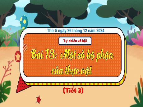 Bài giảng Tự nhiên và xã hội Lớp 3 (Kết nối tri thức) - Bài 13: Một số bộ phận của thực vật (Tiết 3) - Năm học 2024-2025 - Bạch Thị Hải Yến