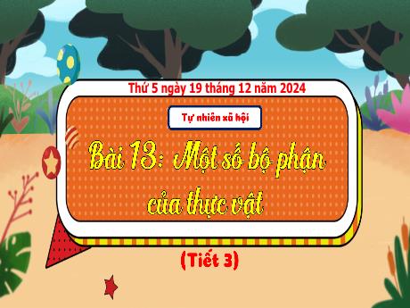 Bài giảng Tự nhiên và Xã hội Lớp 3 (Kết nối tri thức) - Bài 13: Một số bộ phận của thực vật (Tiết 3) - Năm học 2024-2025