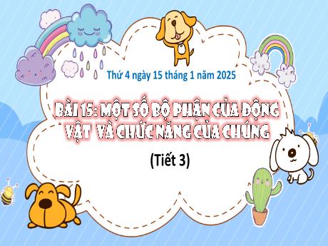 Bài giảng Tự nhiên và Xã hội Lớp 3 (Kết nối tri thức) - Bài 15: Một số bộ phận của động vật và chức năng của chúng (Tiết 3) - Năm học 2024-2025