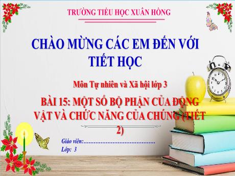 Bài giảng Tự nhiên và xã hội Lớp 3 (Kết nối tri thức) - Bài 15: Một số bộ phận của động vật và chức năng của chúng (Tiết 2) - Năm học 2024-2025 - Trường Tiểu học Xuân Hồng