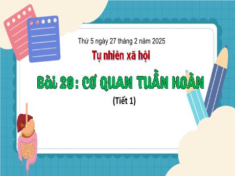 Bài giảng Tự nhiên và xã hội Lớp 3 (Kết nối tri thức) - Bài 20: Cơ quan tuần hoàn (Tiết 1) - Năm học 2024-2025 - Bạch Thị Hải Yến