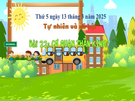 Bài giảng Tự nhiên và xã hội Lớp 3 (Kết nối tri thức) - Bài 22: Cơ quan thần kinh (Tiết 1) - Năm học 2024-2025 - Bạch Thị Hải Yến