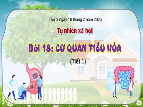 Bài giảng Tự nhiên xã hội 3 (Kết nối tri thức) - Bài 18: Cơ quan tiêu hóa (Tiết 1) - Năm học 2024-2025