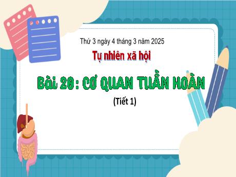 Bài giảng Tự nhiên xã hội 3 (Kết nối tri thức) - Bài 20: Cơ quan tuần hoàn (Tiết 1) - Năm học 2024-2025