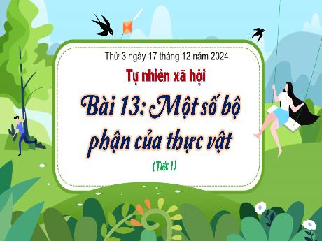 Bài giảng Tự nhiên xã hội Lớp 3 (Kết nối tri thức) - Bài 13: Một số bộ phận của thực vật (Tiết 1) - Năm học 2024-2025
