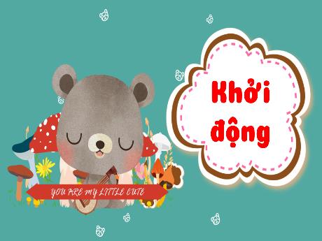 Bài giảng Tự nhiên xã hội Lớp 3 (Kết nối tri thức) - Bài 15: Một số bộ phận của động vật và chức năng của chúng (Tiết 2) - Năm học 2024-2025 - Bạch Thị Hải Yến
