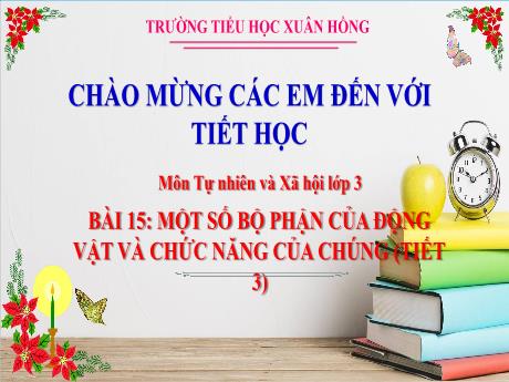 Bài giảng Tự nhiên xã hội Lớp 3 (Kết nối tri thức) - Bài 15: Một số bộ phận của động vật và chức năng của chúng (Tiết 3) - Năm học 2024-2025 - Trường Tiểu học Xuân Hồng