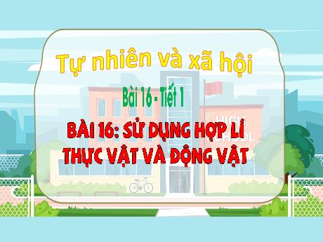 Bài giảng Tự nhiên xã hội Lớp 3 (Kết nối tri thức) - Bài 16: Sử dụng hợp lí thực vật và động vật (Tiết 1) - Bạch Thị Hải Yến