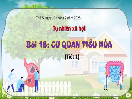 Bài giảng Tự nhiên xã hội Lớp 3 (Kết nối tri thức) - Bài 18: Cơ quan tiêu hóa (Tiết 1) - Năm học 2024-2025