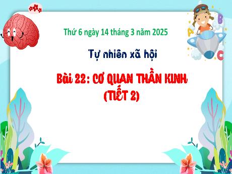 Bài giảng Tự nhiên xã hội Lớp 3 (Kết nối tri thức) - Bài 22: Cơ quan thần kinh (Tiết 2) - Năm học 2024-2025 - Bạch Thị Hải Yến